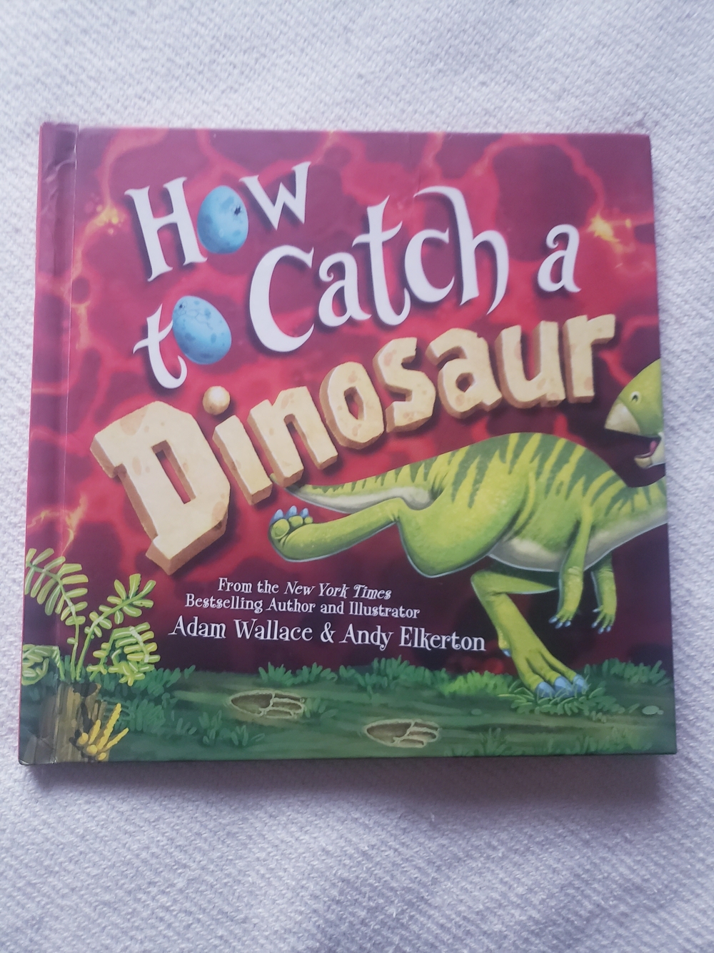 How to Catch a Dinosaur - Children's Book